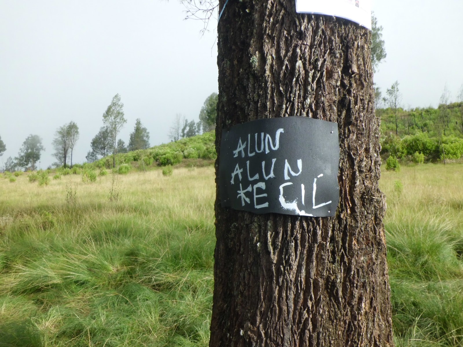 plang_alun_kecil