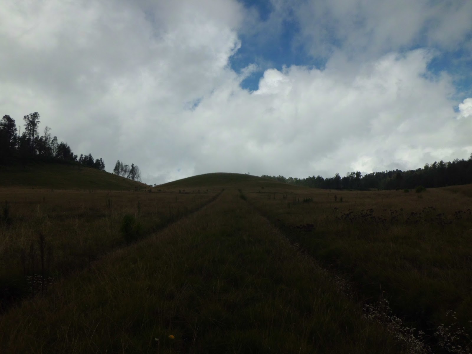 bukit_teletubies